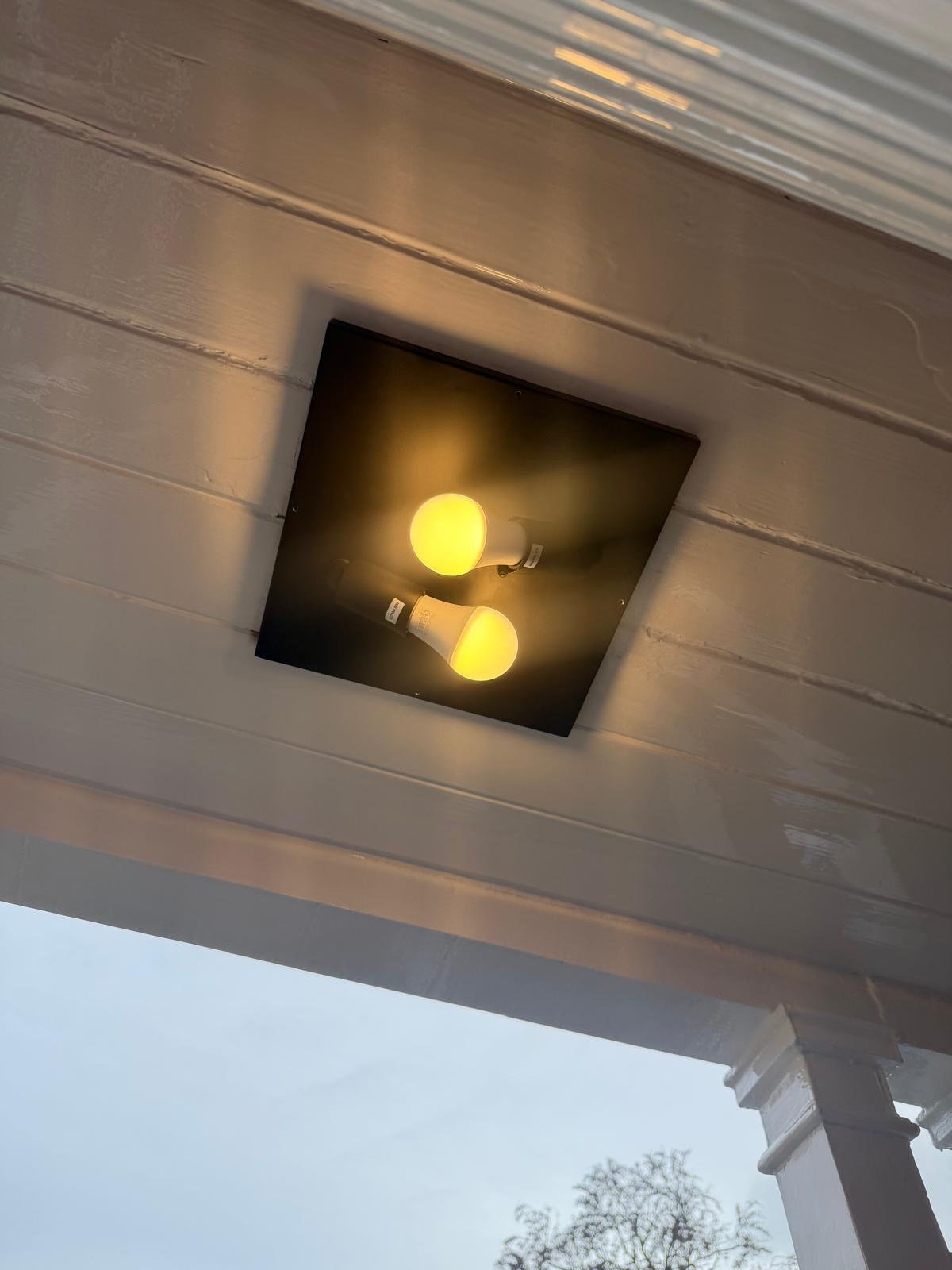 Interior feature light at the Gessings project