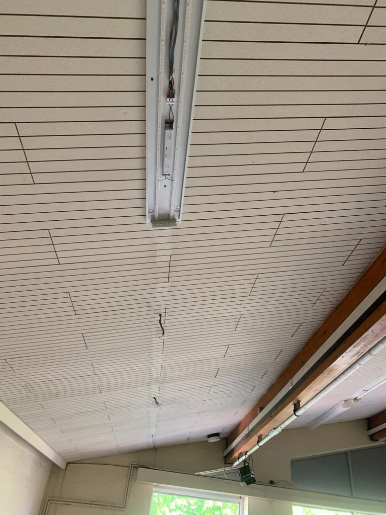 Ceiling light and surface-mounted cable containment
